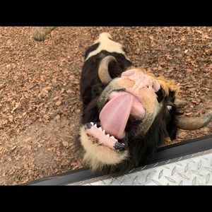 Meet your Posher, Jo